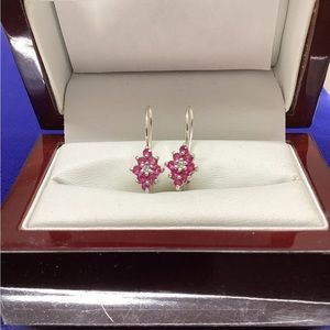 Silver and red earrings